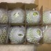 珍珠芭樂禮盒-8入裝